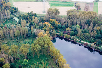 Vue aérienne de Maximilansau, Vieux Rhin à le quartier Maximiliansau in Wörth am Rhein dans le département Rhénanie-Palatinat, Allemagne