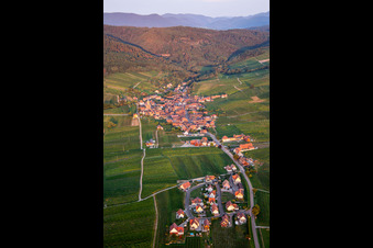 Vue aérienne de Blienschwiller dans le département Bas Rhin, France
