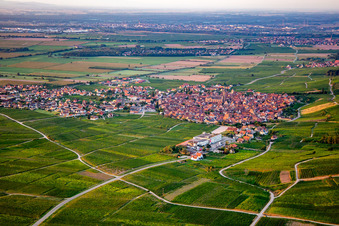 Vue aérienne de Du nord-ouest à Dambach-la-Ville dans le département Bas Rhin, France