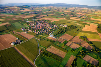 Vue aérienne de Du nord-est à Saessolsheim dans le département Bas Rhin, France