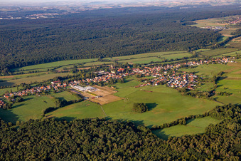 Vue aérienne de Du nord-est à Walbourg dans le département Bas Rhin, France