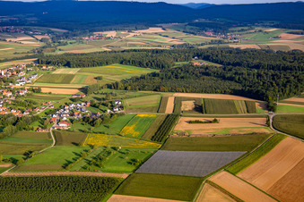 Vue aérienne de Ferme Grasersloch à Hunspach dans le département Bas Rhin, France