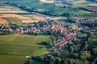 Vue aérienne de Du sud à Riedseltz dans le département Bas Rhin, France