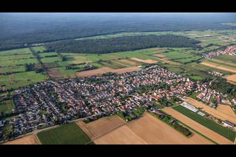 Vue aérienne de Du nord à Minfeld dans le département Rhénanie-Palatinat, Allemagne