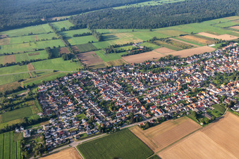 Vue aérienne de Du nord à Minfeld dans le département Rhénanie-Palatinat, Allemagne
