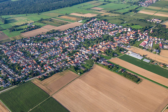 Photographie aérienne de Du nord à Minfeld dans le département Rhénanie-Palatinat, Allemagne