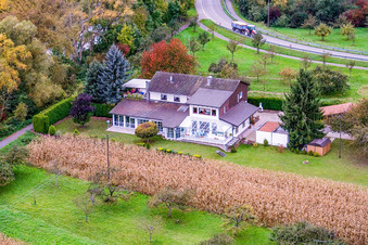 Vue aérienne de Sur le Vieux Rhin de Neubourg à Neuburg am Rhein dans le département Rhénanie-Palatinat, Allemagne