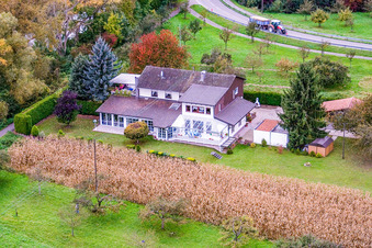 Vue aérienne de Sur le Vieux Rhin de Neubourg à Neuburg am Rhein dans le département Rhénanie-Palatinat, Allemagne