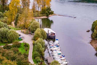 Vue aérienne de Port de plaisance de Neubourg à Neuburg am Rhein dans le département Rhénanie-Palatinat, Allemagne