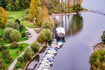 Vue aérienne de Port de plaisance de Neubourg à Neuburg am Rhein dans le département Rhénanie-Palatinat, Allemagne