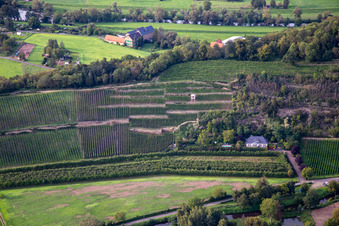 Vue aérienne de Weingut Disibodenberg KG à Odernheim am Glan dans le département Rhénanie-Palatinat, Allemagne