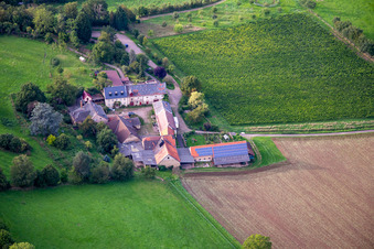 Vue aérienne de Domaine viticole de Racknitz à Odernheim am Glan dans le département Rhénanie-Palatinat, Allemagne