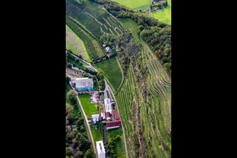Photographie aérienne de CJD Wolfstein, succursale Niedermühle et cave Klostermühle Odernheim KG à Odernheim am Glan dans le département Rhénanie-Palatinat, Allemagne