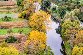 Vue aérienne de Neubourg Vieux Rhin à Neuburg am Rhein dans le département Rhénanie-Palatinat, Allemagne