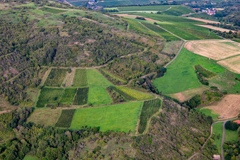 Vue aérienne de Restwingert am Gangelsberg à Duchroth dans le département Rhénanie-Palatinat, Allemagne