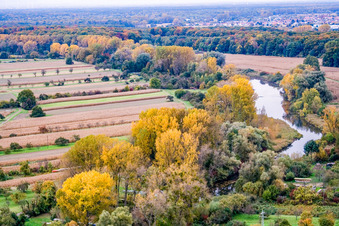 Vue aérienne de Neubourg Vieux Rhin à Neuburg am Rhein dans le département Rhénanie-Palatinat, Allemagne