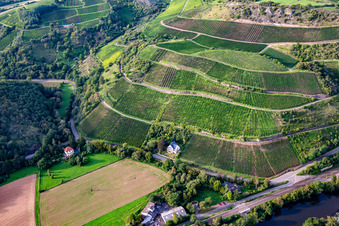 Vue aérienne de Vignoble Schloßböckelheimer Königfels sur le Heimberg à Waldböckelheim dans le département Rhénanie-Palatinat, Allemagne