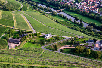 Vue aérienne de Gestion immobilière Niederhausen Schlossböckelheim à Niederhausen dans le département Rhénanie-Palatinat, Allemagne
