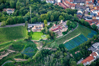Vue aérienne de Kauzenburg par Mike's Catering sur le Kauzenberg à Bad Kreuznach dans le département Rhénanie-Palatinat, Allemagne