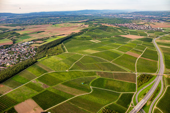 Vue aérienne de Kronenberg, Loup affamé à Bad Kreuznach dans le département Rhénanie-Palatinat, Allemagne