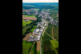 Vue aérienne de Weinsheim dans le département Rhénanie-Palatinat, Allemagne