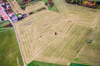 Vue aérienne de Prairie récoltée sur les rangées de champs agricoles à le quartier Büchelberg in Wörth am Rhein dans le département Rhénanie-Palatinat, Allemagne