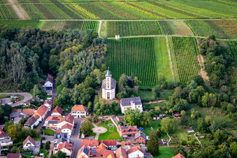 Photographie aérienne de Château de Koppenstein Mandel sous la maison du vignoble Mandel à Mandel dans le département Rhénanie-Palatinat, Allemagne