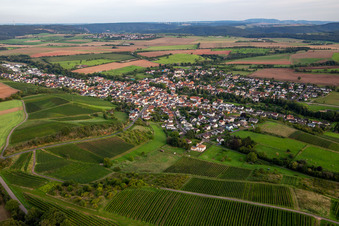 Vue aérienne de Du nord à Weinsheim dans le département Rhénanie-Palatinat, Allemagne