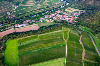 Vue aérienne de Vignobles sur le Gangelsberg à Oberhausen an der Nahe dans le département Rhénanie-Palatinat, Allemagne