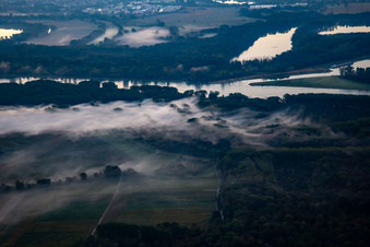 Vue aérienne de Altrhein Hömel dans la brume matinale avant le lever du soleil à le quartier Maximiliansau in Wörth am Rhein dans le département Rhénanie-Palatinat, Allemagne