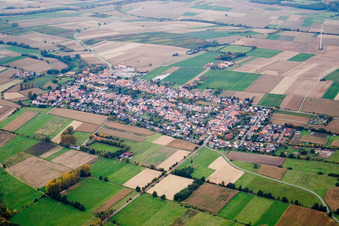 Vue aérienne de Champs agricoles et terres agricoles à Minfeld dans le département Rhénanie-Palatinat, Allemagne