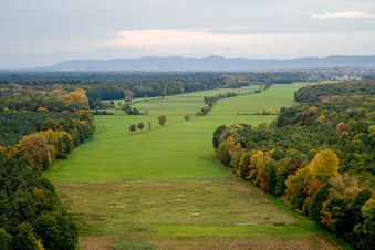 Vue aérienne de Otterbachtal à Freckenfeld dans le département Rhénanie-Palatinat, Allemagne