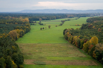 Photographie aérienne de Otterbachtal à Freckenfeld dans le département Rhénanie-Palatinat, Allemagne