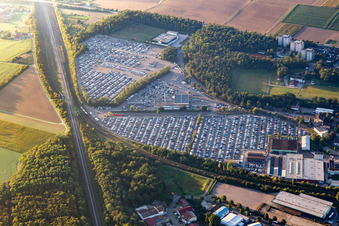 Vue aérienne de Alfred Kärcher SE & Co. KG et MOSOLF Logistics & Services GmbH, succursale Illingen à Illingen dans le département Bade-Wurtemberg, Allemagne