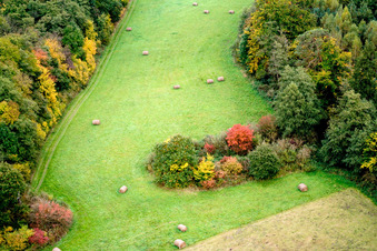 Vue aérienne de Balles de foin dans une clairière à la lisière de la forêt aux couleurs automnales de Minfeld à Freckenfeld dans le département Rhénanie-Palatinat, Allemagne