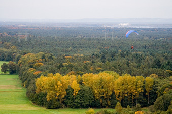Photographie aérienne de Otterbachtal à Minfeld dans le département Rhénanie-Palatinat, Allemagne