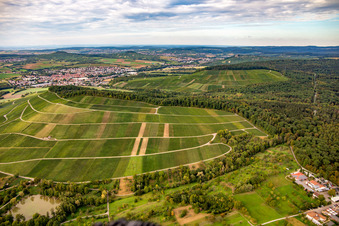Vue aérienne de Vignoble de Großbottwar à le quartier Kleinbottwar in Steinheim an der Murr dans le département Bade-Wurtemberg, Allemagne