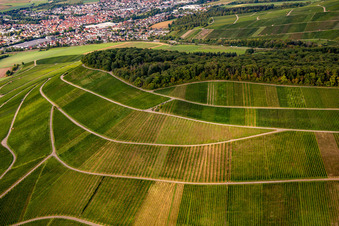 Vue aérienne de Vignoble de Großbottwar à le quartier Kleinbottwar in Steinheim an der Murr dans le département Bade-Wurtemberg, Allemagne