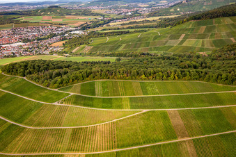 Photographie aérienne de Vignoble de Großbottwar à le quartier Kleinbottwar in Steinheim an der Murr dans le département Bade-Wurtemberg, Allemagne
