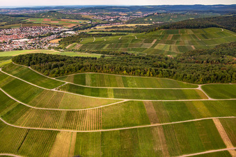 Vue oblique de Vignoble de Großbottwar à le quartier Kleinbottwar in Steinheim an der Murr dans le département Bade-Wurtemberg, Allemagne