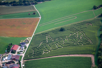 Vue aérienne de Labyrinthe de maïs à la ferme laitière Lämmle-Hofmann à le quartier Flehingen in Oberderdingen dans le département Bade-Wurtemberg, Allemagne
