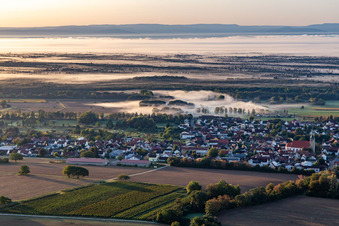 Vue aérienne de Devant le Bienwald dans la brume matinale à Steinfeld dans le département Rhénanie-Palatinat, Allemagne
