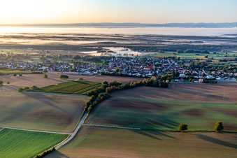 Vue aérienne de Devant le Bienwald dans la brume matinale à Steinfeld dans le département Rhénanie-Palatinat, Allemagne
