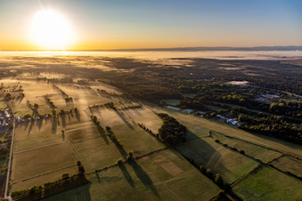 Vue aérienne de Panorama du Bienwald au lever du soleil à Schweighofen dans le département Rhénanie-Palatinat, Allemagne