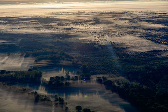 Vue aérienne de Bienwald dans la brume matinale à Schweighofen dans le département Rhénanie-Palatinat, Allemagne