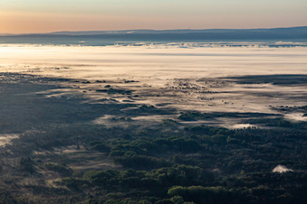 Vue aérienne de Vue sur le Bienwald avec la brume matinale à Schweighofen dans le département Rhénanie-Palatinat, Allemagne