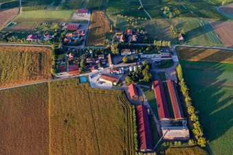 Vue aérienne de Ferme Schafbusch à Steinseltz dans le département Bas Rhin, France