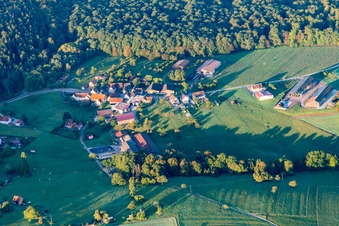 Vue aérienne de Pffaffenbronn à Lembach dans le département Bas Rhin, France