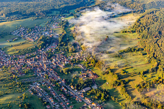 Vue aérienne de Rue de Bitche à Lembach dans le département Bas Rhin, France