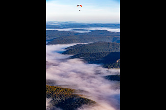 Photographie aérienne de Château Fort de Fleckenstein à Lembach dans le département Bas Rhin, France
